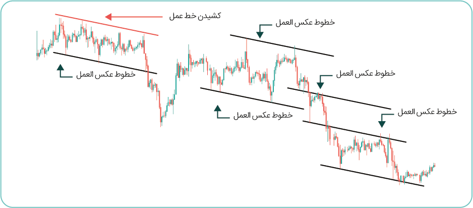 خطوط عمل و عکس العمل